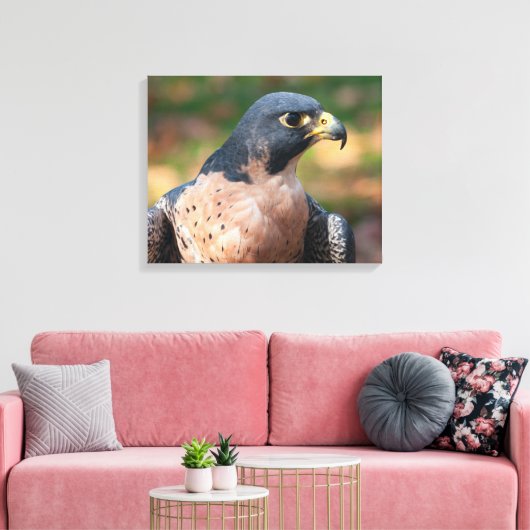 Peregrine Falcon Profile Canvas Afdruk (Insitu (Woonkamer))