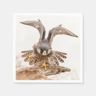 Peregrine Falcon Servetten