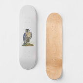 Peregrine Falcon Skateboard (Voorkant)