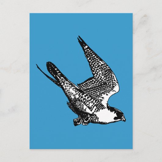 Peregrine Falcon Sketch Briefkaart (Voorkant)