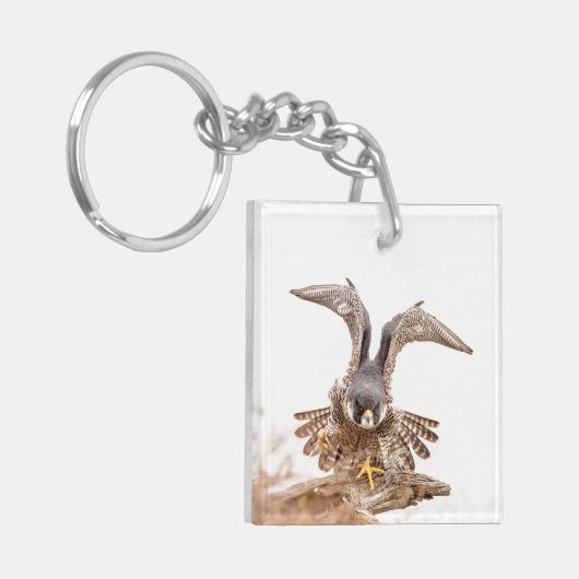 Peregrine Falcon Sleutelhanger (Voorkant Links)