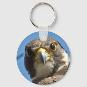 Peregrine Falcon Sleutelhanger
