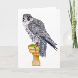 Peregrine Falcon Verjaardag Kaart