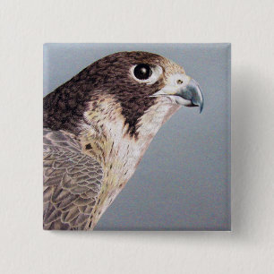 Peregrine Falcon Vierkante Button 5,1 Cm