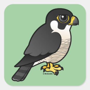 Peregrine Falcon Vierkante Sticker