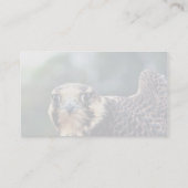 Peregrine Falcon Visitekaartje (Achterkant)
