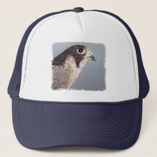 Peregrine het Pet van de Valk