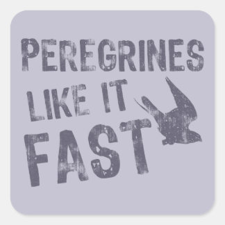 Peregrines als Fast Vierkante Sticker