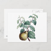  peren briefkaart (Voorkant / Achterkant)