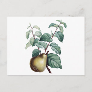 peren briefkaart