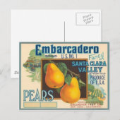 peren briefkaart (Voorkant / Achterkant)