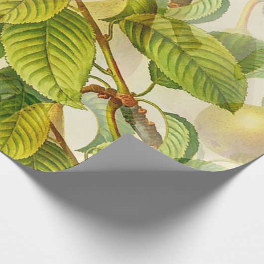 Peren en bladeren cadeaupapier (Hoek)