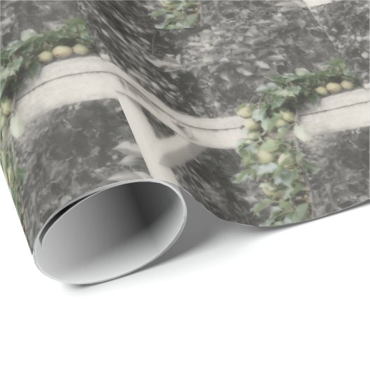 Peren en Hitksplaat in zwarte en witte Natuur Cadeaupapier (Rol Hoek)