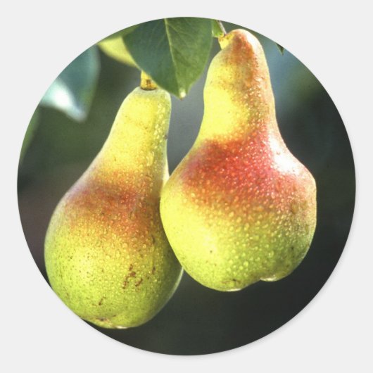 peren ronde sticker (Voorkant)