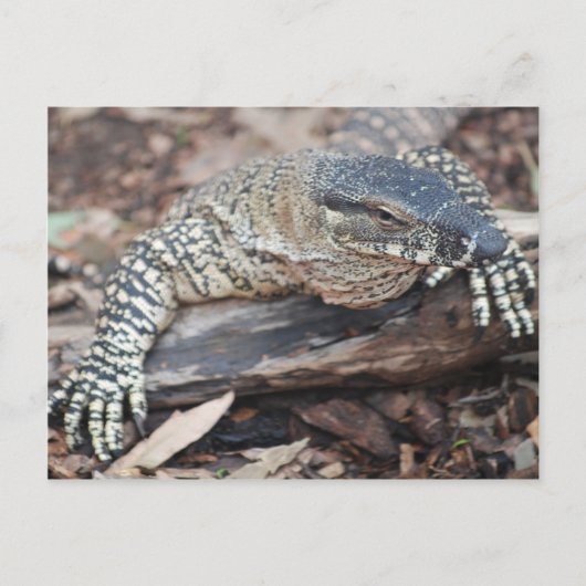 Perenti Briefkaart (Voorkant)