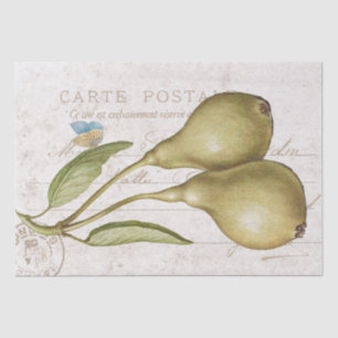  perenvlinderstaart — ontkoppeling tissuepapier