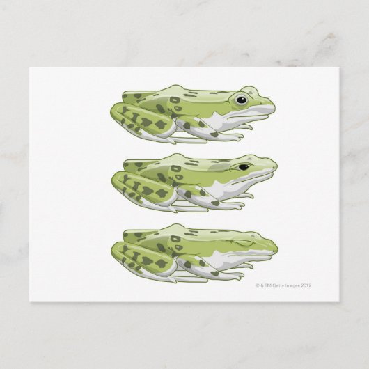 Perez Frog Briefkaart (Voorkant)
