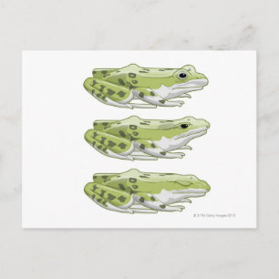 Perez Frog Briefkaart