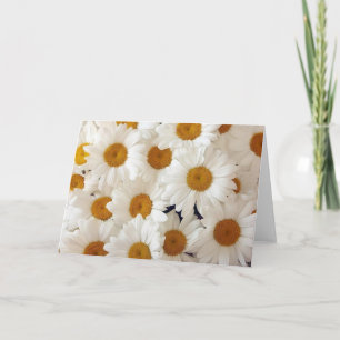 Perfect Daisies Wenskaarten Kaart