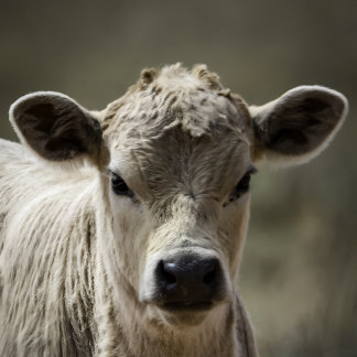 Perfect fit for after that perfect filling feeding romper
