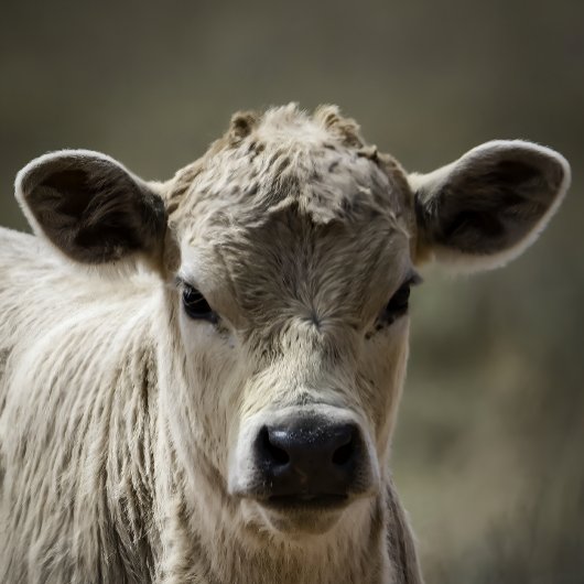 Perfect fit for after that perfect filling feeding romper