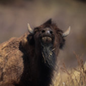 Perfect fit for after that perfect filling feeding romper