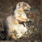 Perfect fit for after that perfect filling feeding romper