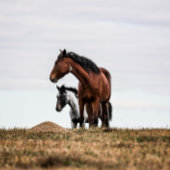 Perfect fit for after that perfect filling feeding romper