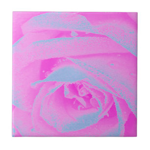 Perfect hete roze en lichtblauwe roosdetail tegeltje