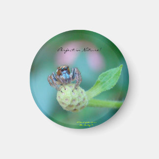 Perfect in Natuur Award Magneet