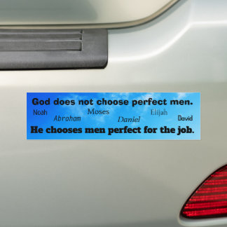 Perfect Men For Bumpersticker