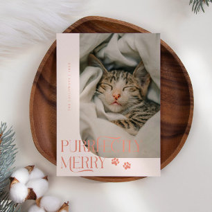 Perfect Merry Cat Photo Peach Kerstmis Feestdagenkaart