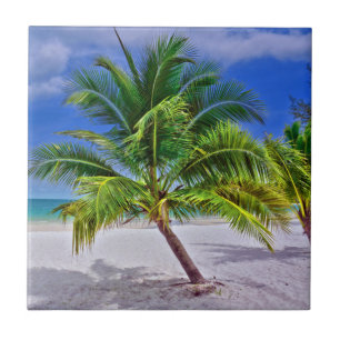 Perfect palm Tree Tropical Island Beach Tegeltje