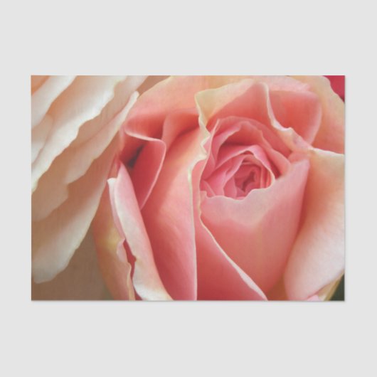 Perfect pasta-Roos Tissuepapier (Voorkant)