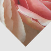 Perfect pasta-Roos Tissuepapier (Detail)