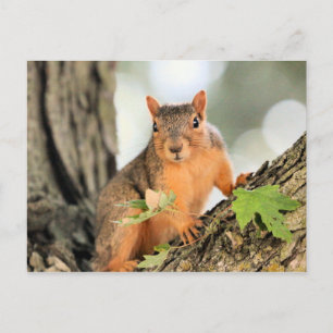 Perfect pose briefkaart