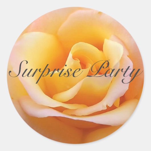 Perfect Roos - Surprise Party Ronde Sticker (Voorkant)