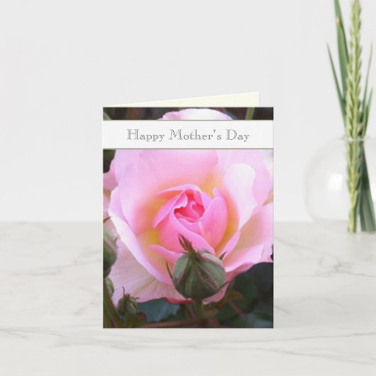 Perfect roze bewerkbaar Engels Roos Kaart (Voorkant)