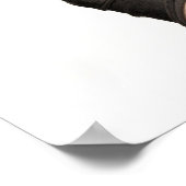 Perfect Salon Poster (Hoek)