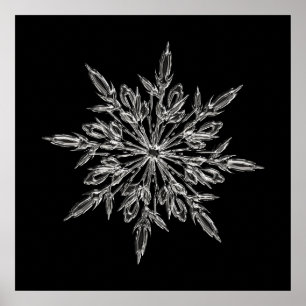 Perfect Snowflake voor de kerstfeestdag Poster
