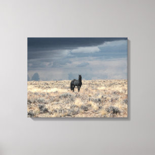 Perfect Storm op canvas Afdruk
