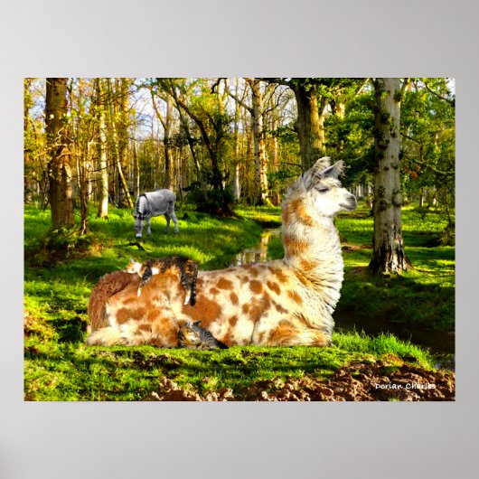 "Perfect Sunday Avanmiddag" Poster (Voorkant)