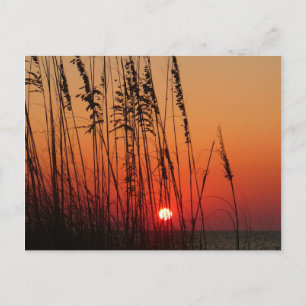 Perfect Sunset Briefkaart
