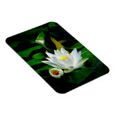 Perfect White Water Lily en Bud Magneet (Rechterzijde)