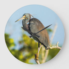 Perfecte acrylwandklok voor vogels, rond (groot) grote klok