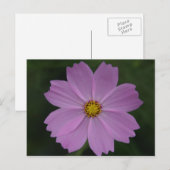 perfecte bloem briefkaart (Voorkant / Achterkant)