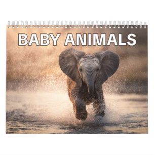 Perfecte cadeau voor dierenvrienden Baby Dieren Kalender
