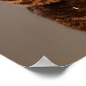 Perfecte Cowboy: Feline Frontier Adventure Poster (Hoek)