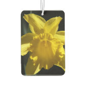 Perfecte Daffodil Luchtverfrisser (Achterkant)