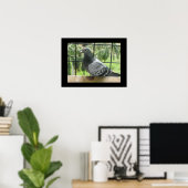 Perfecte duif poster (Thuiskantoor)